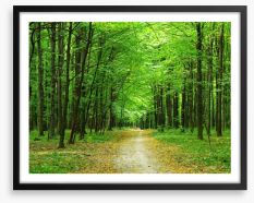 Emerald forest path Framed Art Print 62185119