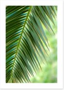 Coconut palm macro Art Print 62268616