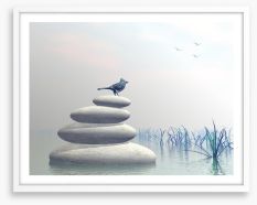 Bird of peace Framed Art Print 62585050