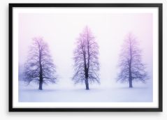 Three winter trees Framed Art Print 62615188