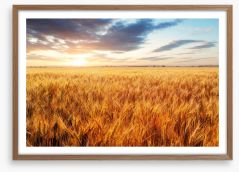 Wheat season Framed Art Print 62631732