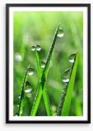 Emerald dew drops Framed Art Print 62847445