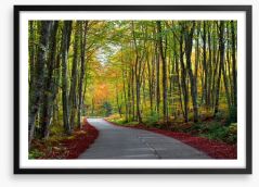 Autumn beech forest Framed Art Print 62919606