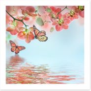 Butterfly zen Art Print 62932443