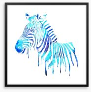 Dripping zebra blue Framed Art Print 62934266