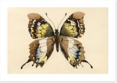 Aquarelle butterfly Art Print 62965493