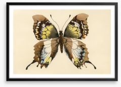 Aquarelle butterfly Framed Art Print 62965493