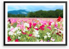 Spring meadow Framed Art Print 63098511