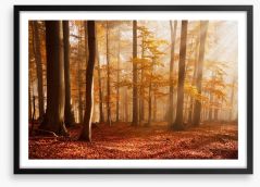 Carpathian beech forest Framed Art Print 63160876