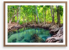 Mangrove forest pool Framed Art Print 63166326