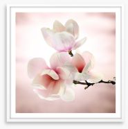 Magnolia buds Framed Art Print 63197821