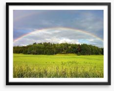 Rainbows Framed Art Print 63231705