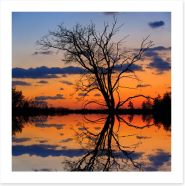 Sunset tree silhouette Art Print 63246865