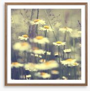 Vintage daisies Framed Art Print 63338871