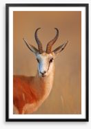 Mammals Framed Art Print 63476182