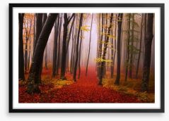 Autumn in the fairytale forest Framed Art Print 63521523