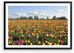 Tulips forever Framed Art Print 63595056