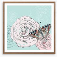 The butterfly and the rose Framed Art Print 63603436