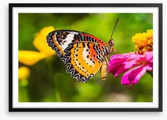 Yellow lacewing Framed Art Print 63621817