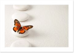White stones and butterfly Art Print 63717283