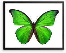 Emerald butterfly Framed Art Print 63762173