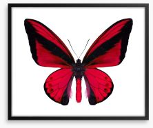 The vibrant monarch Framed Art Print 63762237