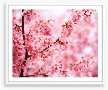 Cherry blossom sakura Framed Art Print 63794616