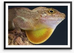 Reptiles / Amphibian Framed Art Print 63840006