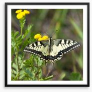 Insects Framed Art Print 64188785