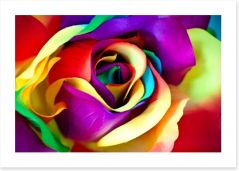 Spectacular rainbow rose Art Print 64237131