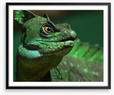 Reptiles / Amphibian Framed Art Print 64296522