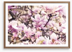 Vintage magnolia Framed Art Print 64398802