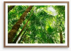 Jungle sun Framed Art Print 64415707