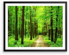 Dazzling forest Framed Art Print 64968357