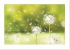 Blowball dandelions Art Print 65187814