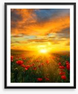 Poppy heaven Framed Art Print 65740563