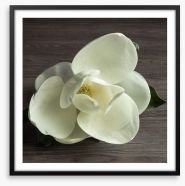White magnolia Framed Art Print 66136893