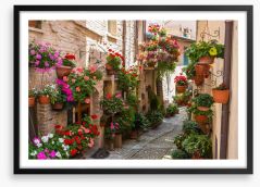 Hanging gardens of Umbria Framed Art Print 66208985