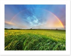 Rainbows Art Print 66581409