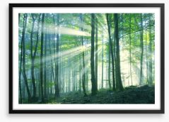 Forests Framed Art Print 66698723