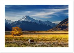 Under the shadow of Mount Cook Art Print 66913139