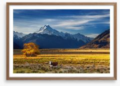 Under the shadow of Mount Cook Framed Art Print 66913139