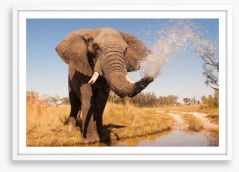 Elephant spray Framed Art Print 67235664
