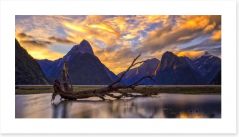 Milford Sound sunset Art Print 68049568