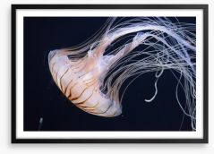 One jellyfish Framed Art Print 68377954