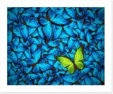 Butterflies Art Print 68641477