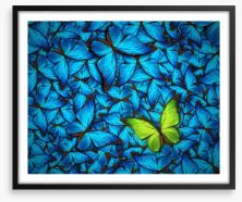 Butterflies Framed Art Print 68641477