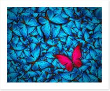 Butterflies Art Print 68641651