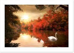 Autumn swan Art Print 68775612