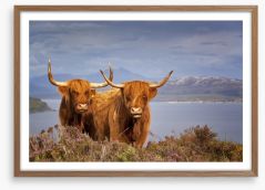 Highland cattle Framed Art Print 68780901